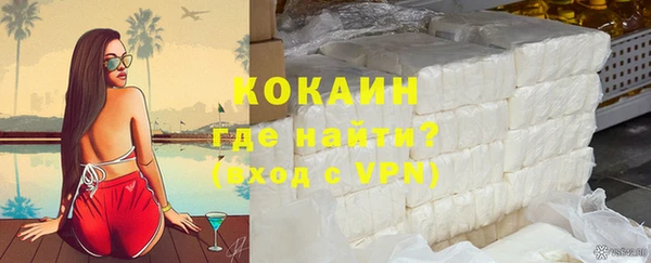 ГАЛЛЮЦИНОГЕННЫЕ ГРИБЫ Богданович