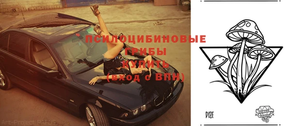 первитин Богородицк