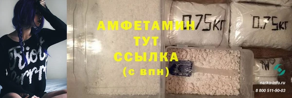 ГАЛЛЮЦИНОГЕННЫЕ ГРИБЫ Богданович