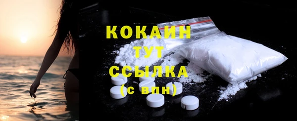 ГАЛЛЮЦИНОГЕННЫЕ ГРИБЫ Богданович