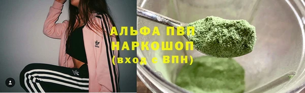 ГАЛЛЮЦИНОГЕННЫЕ ГРИБЫ Богданович