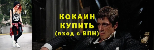 ГАЛЛЮЦИНОГЕННЫЕ ГРИБЫ Богданович