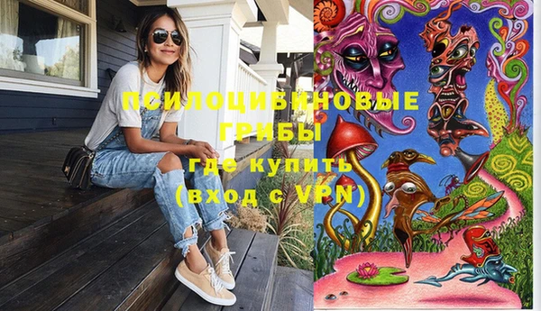 ГАЛЛЮЦИНОГЕННЫЕ ГРИБЫ Богданович