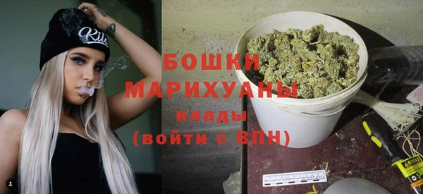 ГАЛЛЮЦИНОГЕННЫЕ ГРИБЫ Богданович