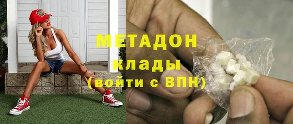 ГАЛЛЮЦИНОГЕННЫЕ ГРИБЫ Богданович