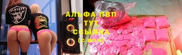 ГАЛЛЮЦИНОГЕННЫЕ ГРИБЫ Богданович